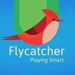 Flycatcher Toys discount code